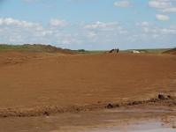 Imagine atasata: A1-Tm-Lg-dorum-2014-Aug-20.JPG